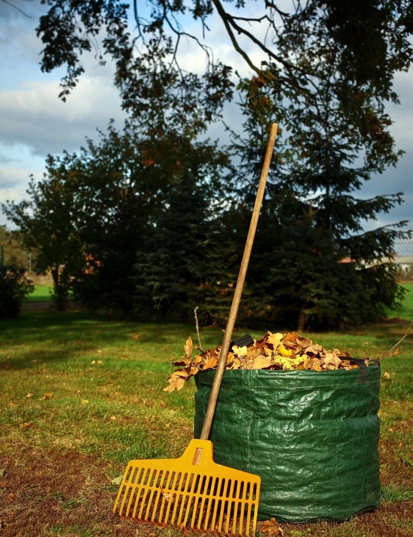 Alanya Cleaning Garden Cleaning 2025