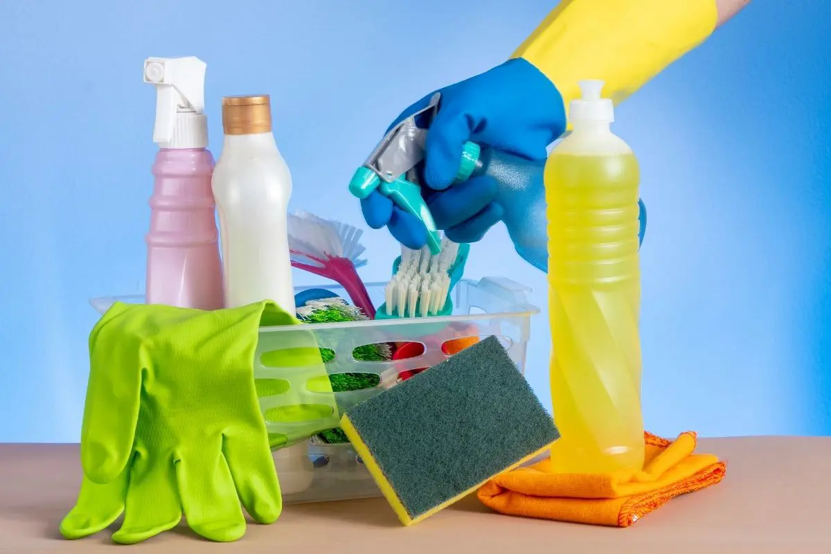 How to Prevent Holiday Home Humidity and Mold Problems in Alanya